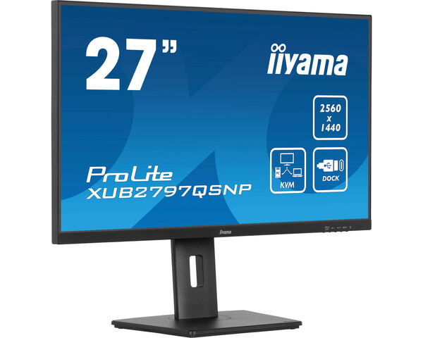 iiyama ProLite Pantalla 27" WQHD IPS con USB-C dock, negro