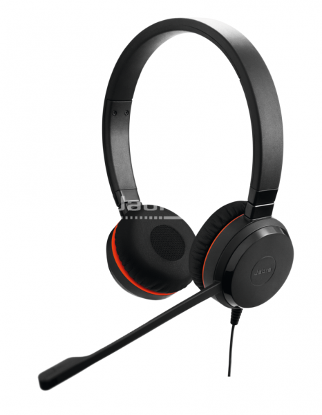 Jabra Evolve 30 II Duo USB