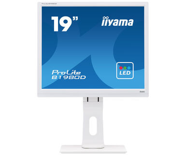 iiyama ProLite Monitor de 19", blanco