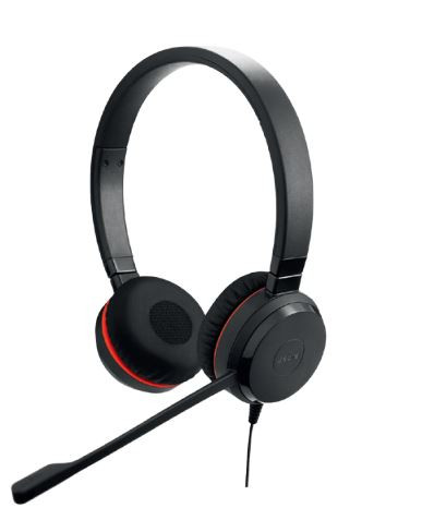 Jabra Evolve 20 Duo USB MS