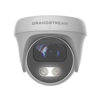 Grandstream GSC3610 Cámara Domo IP Infrarrojo