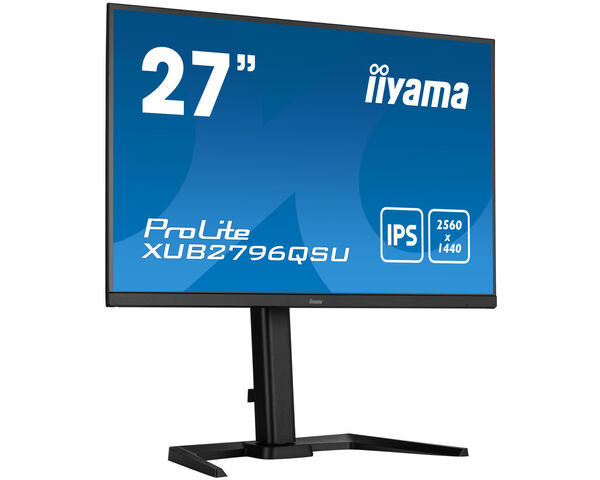 iiyama ProLite Monitor WQHD de 27", negro