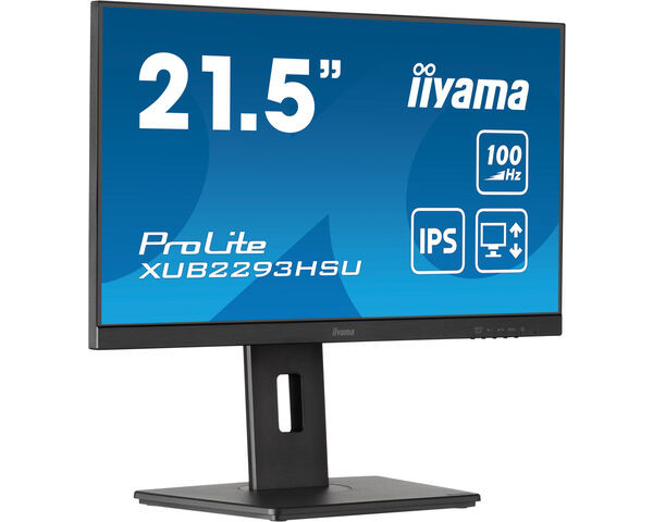 iiyama ProLite Monitor IPS de 21.5" con concentrador USB, negro