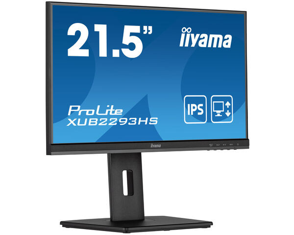 iiyama ProLite Monitor IPS de 21,5", negro