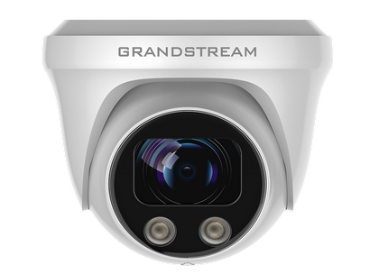 Grandstream GSC3620 Cámara Domo infrarroja